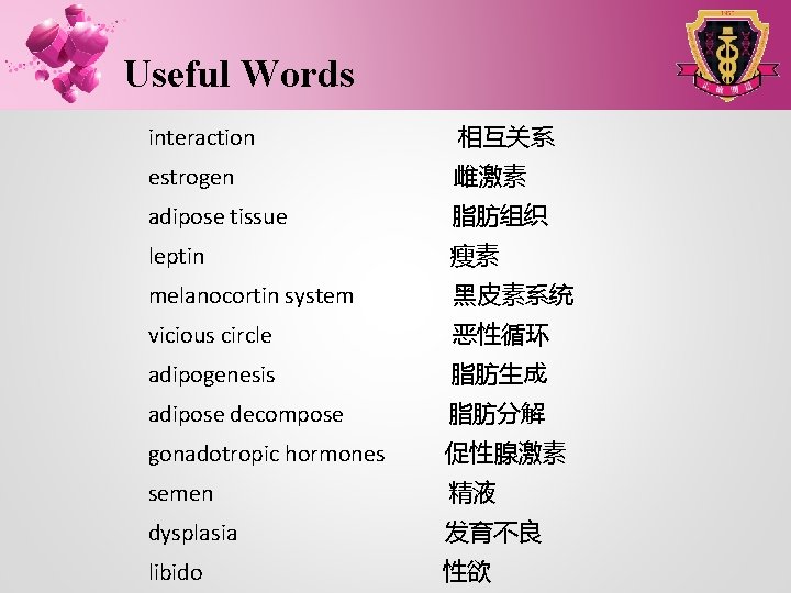 Useful Words interaction 相互关系 estrogen 雌激素 adipose tissue 脂肪组织 leptin 瘦素 melanocortin system 黑皮素系统