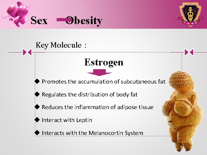 Sex Obesity Key Molecule： Estrogen ◆ Promotes the accumulation of subcutaneous fat ◆ Regulates