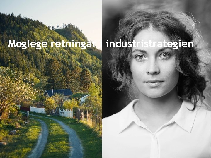 Moglege retningar i industristrategien 