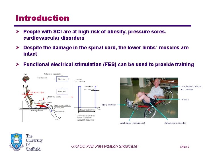 Introduction Ø People with SCI are at high risk of obesity, pressure sores, cardiovascular