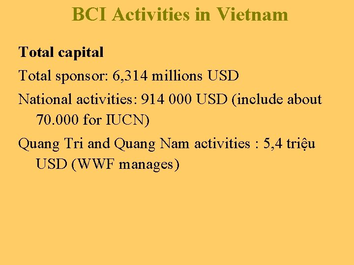 BCI Activities in Vietnam Total capital Total sponsor: 6, 314 millions USD National activities:
