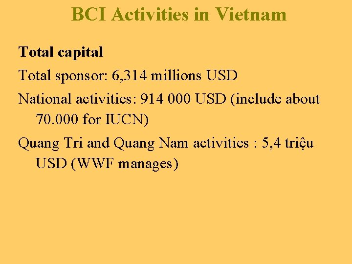 BCI Activities in Vietnam Total capital Total sponsor: 6, 314 millions USD National activities: