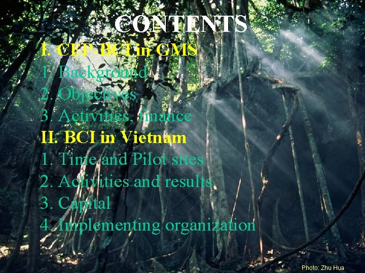 CONTENTS I. CEP-BCI in GMS 1. Background 2. Objectives 3. Activities, finance II. BCI