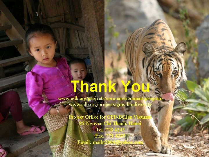 Thank You www. adb. org/projects/core-environment-program www. adb. org/projects/gms-biodiversity Project Office for CEP-BCI in Vietnam