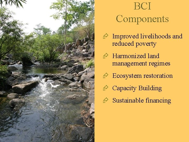 BCI Components Æ Improved livelihoods and reduced poverty Æ Harmonized land management regimes Æ