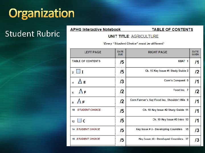 Organization Student Rubric 