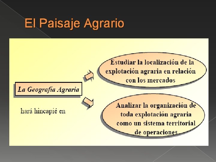 El Paisaje Agrario 