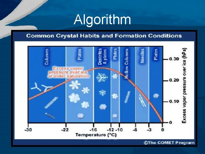 Algorithm 