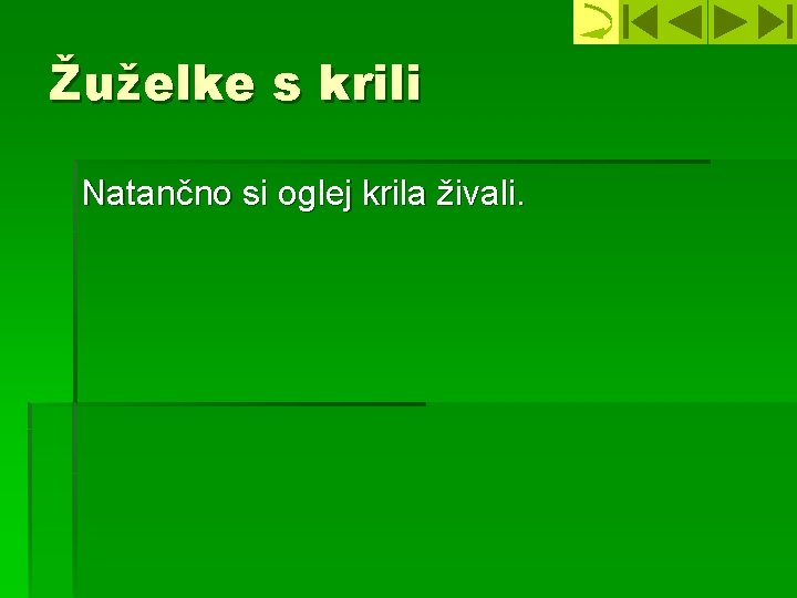 Žuželke s krili Natančno si oglej krila živali. 