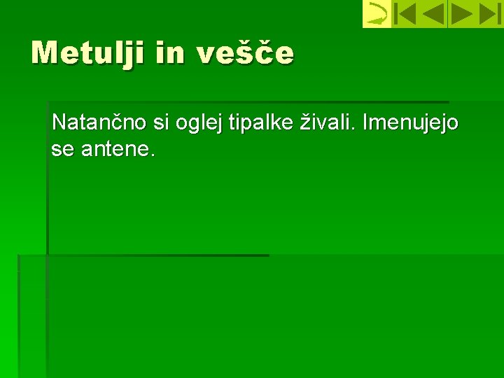 Metulji in vešče Natančno si oglej tipalke živali. Imenujejo se antene. 