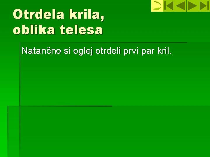 Otrdela krila, oblika telesa Natančno si oglej otrdeli prvi par kril. 