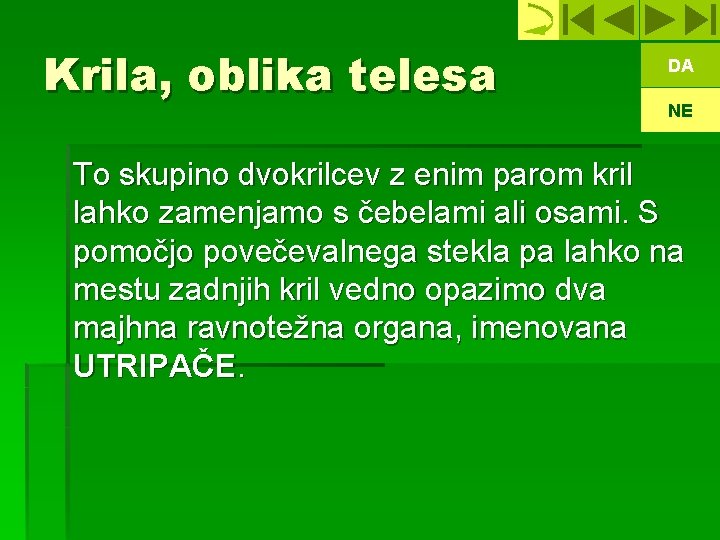 Krila, oblika telesa DA NE To skupino dvokrilcev z enim parom kril lahko zamenjamo