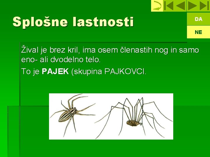 Splošne lastnosti DA NE Žival je brez kril, ima osem členastih nog in samo