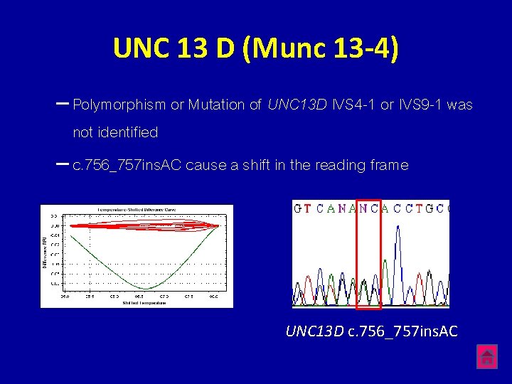 UNC 13 D (Munc 13 -4) – Polymorphism or Mutation of UNC 13 D