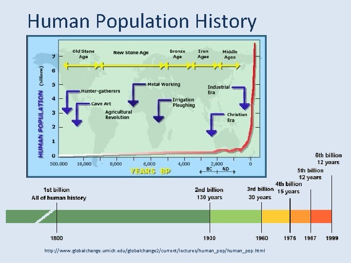 Human Population History http: //www. globalchange. umich. edu/globalchange 2/current/lectures/human_pop. html 