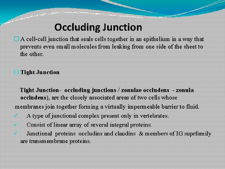 Occluding Junction � A cell-cell junction that seals cells together in an epithelium in Occluding Junction � A cell-cell junction that seals cells together in an epithelium in