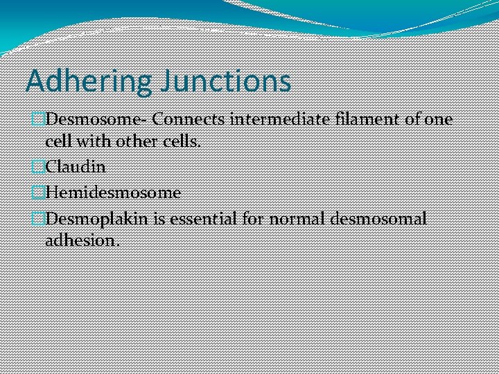 Adhering Junctions �Desmosome- Connects intermediate filament of one cell with other cells. �Claudin �Hemidesmosome Adhering Junctions �Desmosome- Connects intermediate filament of one cell with other cells. �Claudin �Hemidesmosome