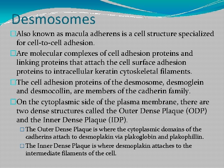 Desmosomes �Also known as macula adherens is a cell structure specialized for cell-to-cell adhesion. Desmosomes �Also known as macula adherens is a cell structure specialized for cell-to-cell adhesion.