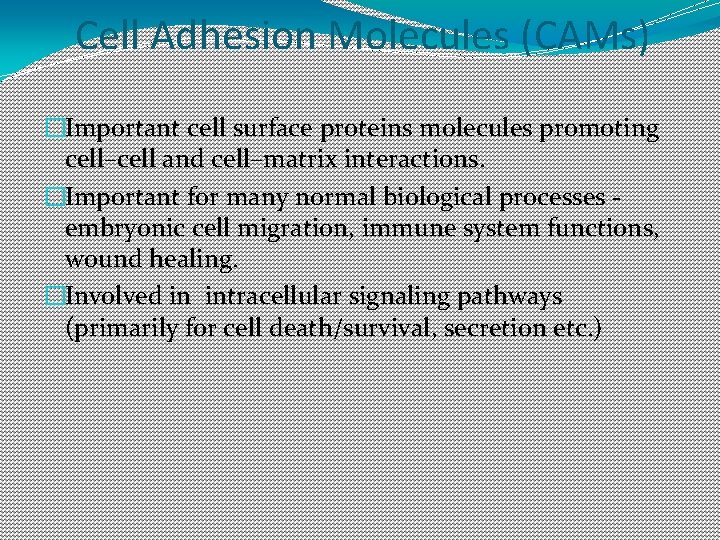 Cell Adhesion Molecules (CAMs) �Important cell surface proteins molecules promoting cell–cell and cell–matrix interactions. Cell Adhesion Molecules (CAMs) �Important cell surface proteins molecules promoting cell–cell and cell–matrix interactions.