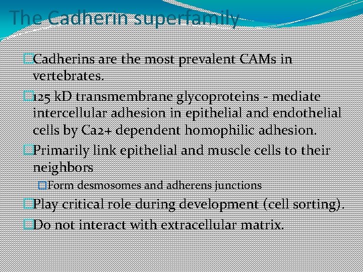 The Cadherin superfamily �Cadherins are the most prevalent CAMs in vertebrates. � 125 k. The Cadherin superfamily �Cadherins are the most prevalent CAMs in vertebrates. � 125 k.