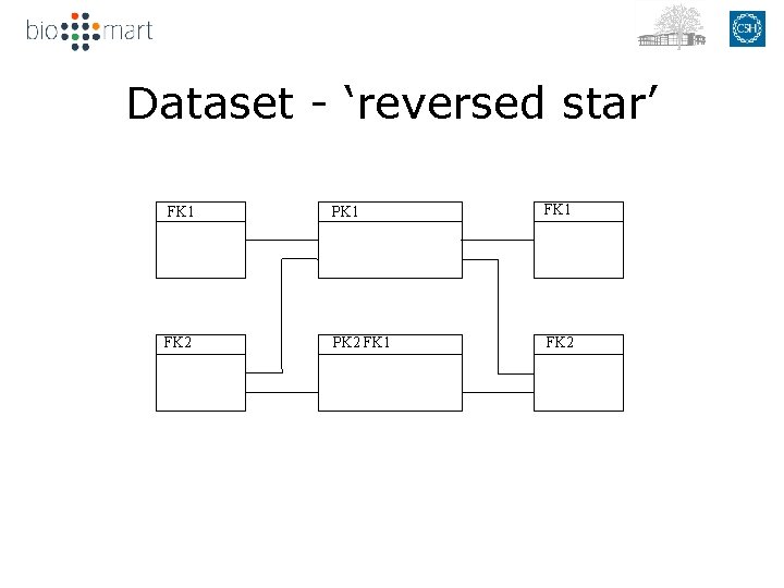 Dataset - ‘reversed star’ FK 1 dm FK 1 FK 2 dm FK 2