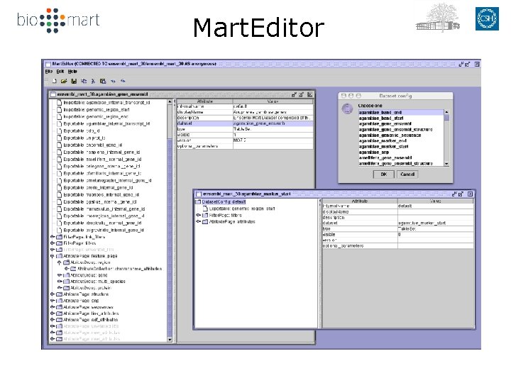 Mart. Editor 