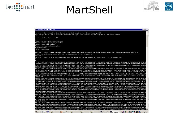 Mart. Shell 