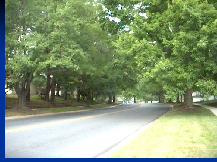 Situations of uncertainty 