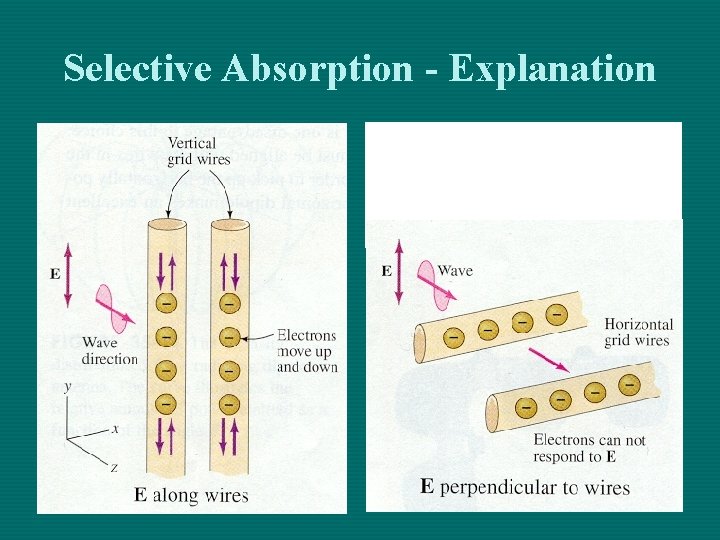 Selective Absorption - Explanation Selective Absorption - Explanation