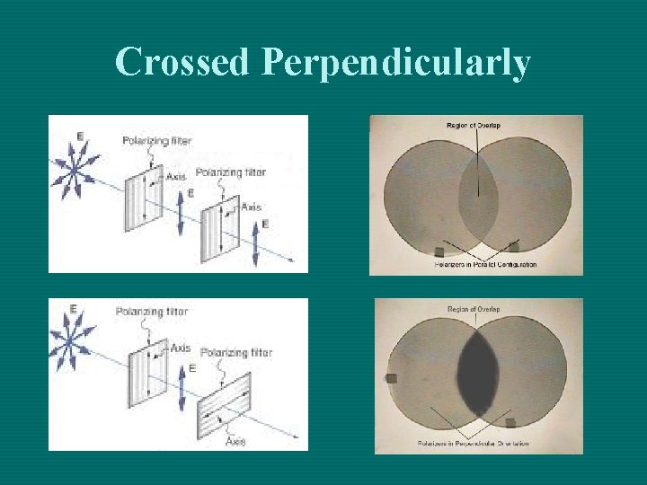 Crossed Perpendicularly Crossed Perpendicularly