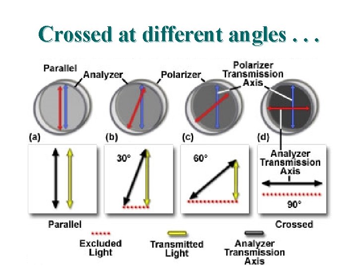 Crossed at different angles. . . Crossed at different angles. . .
