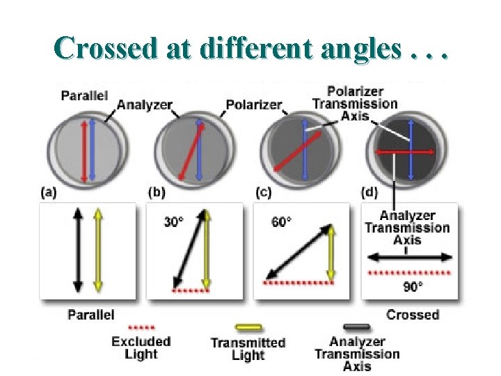 Crossed at different angles. . . 