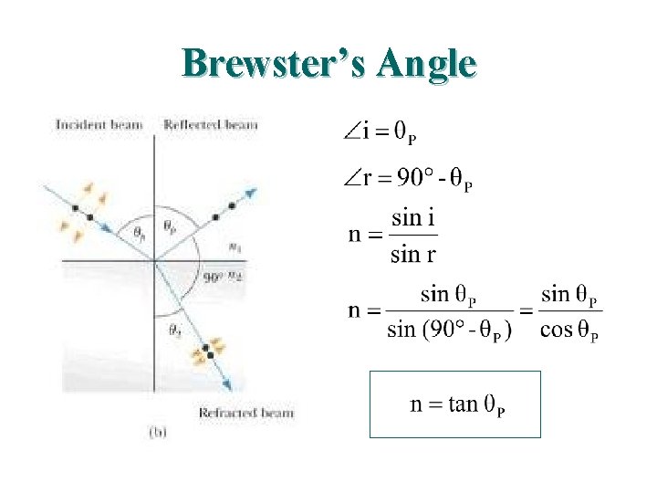 Brewster’s Angle Brewster’s Angle
