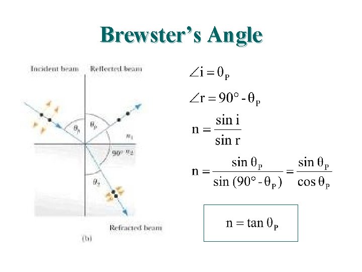 Brewster’s Angle 