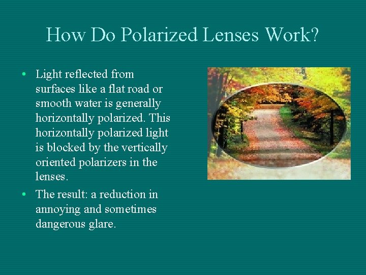 How Do Polarized Lenses Work? • Light reflected from surfaces like a flat road