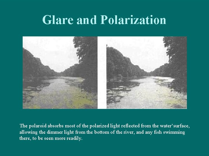 Glare and Polarization The polaroid absorbs most of the polarized light reflected from the Glare and Polarization The polaroid absorbs most of the polarized light reflected from the