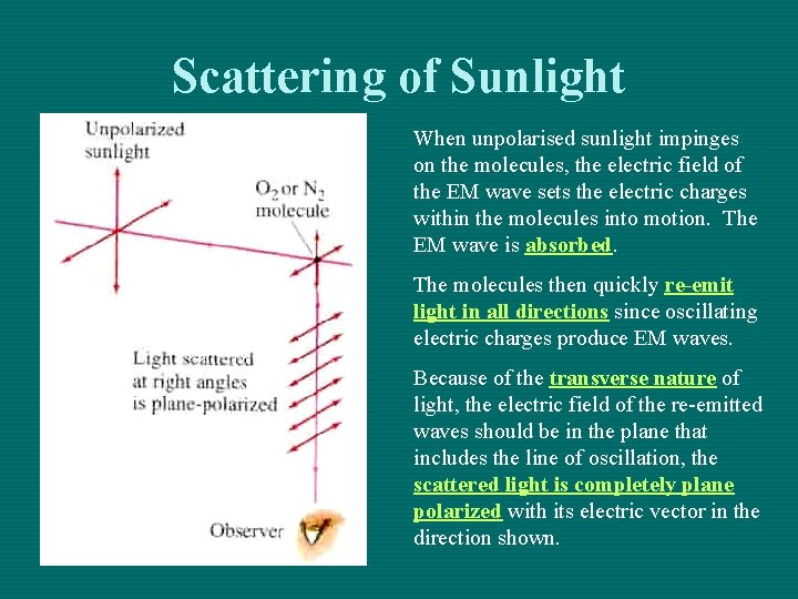Scattering of Sunlight When unpolarised sunlight impinges on the molecules, the electric field of