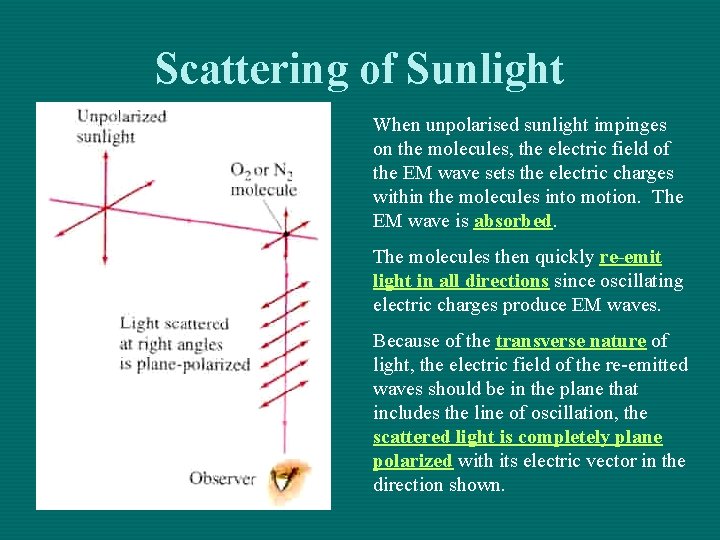Scattering of Sunlight When unpolarised sunlight impinges on the molecules, the electric field of Scattering of Sunlight When unpolarised sunlight impinges on the molecules, the electric field of