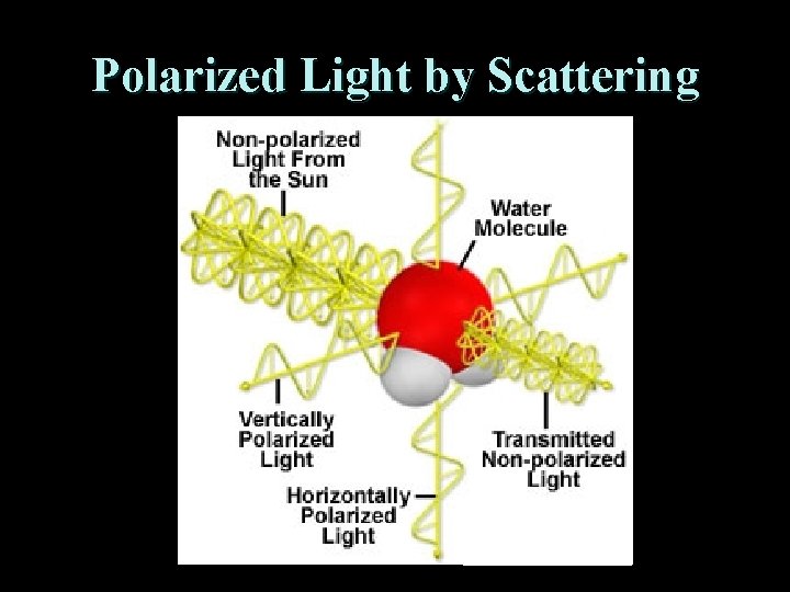 Polarized Light by Scattering 