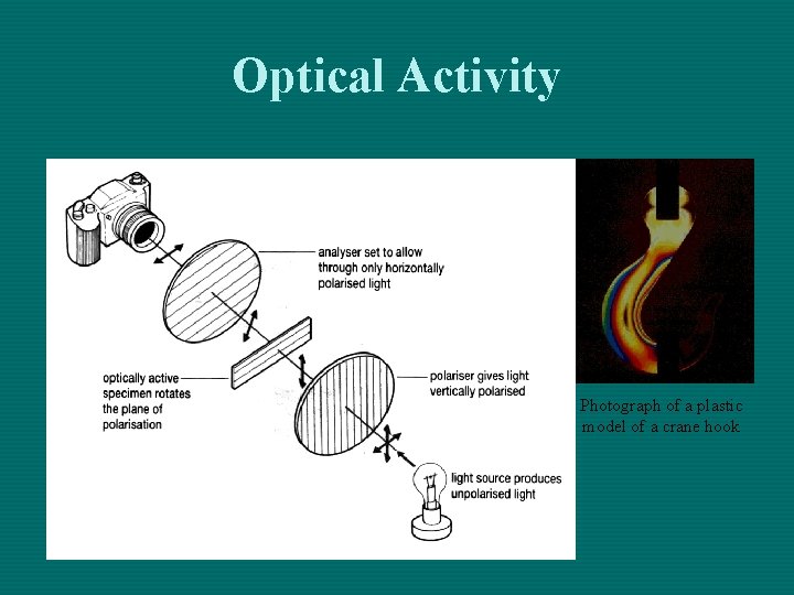 Optical Activity Photograph of a plastic model of a crane hook 