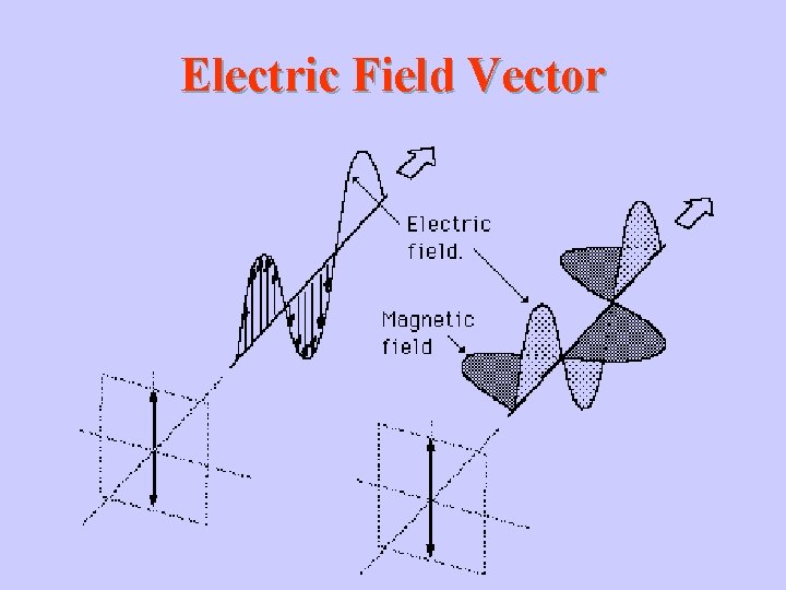 Electric Field Vector Electric Field Vector