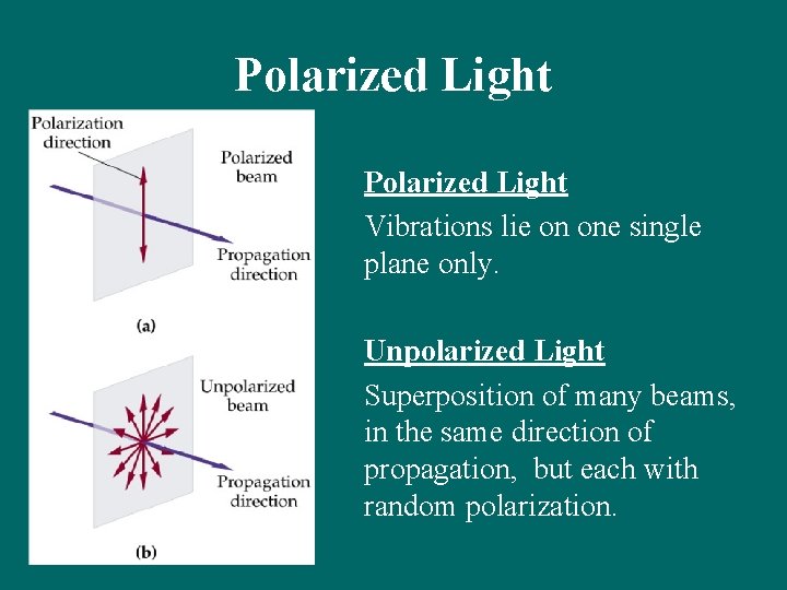 Polarized Light Vibrations lie on one single plane only. Unpolarized Light Superposition of many Polarized Light Vibrations lie on one single plane only. Unpolarized Light Superposition of many