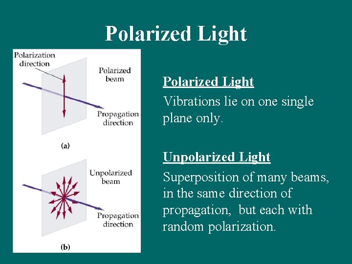 Polarized Light Vibrations lie on one single plane only. Unpolarized Light Superposition of many