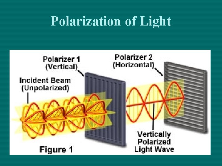 Polarization of Light 