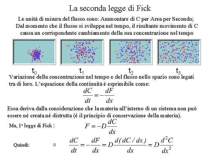 La seconda legge di Fick Le unità di misura del flusso sono: Ammontare di