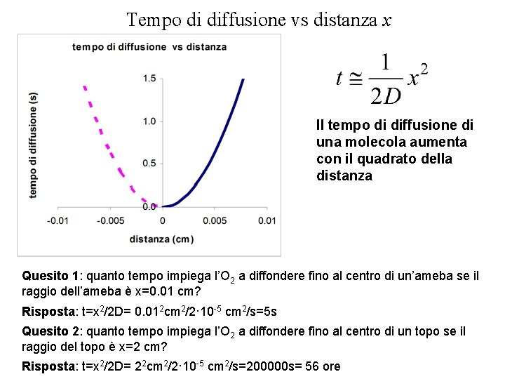 Tempo di diffusione vs distanza x Il tempo di diffusione di una molecola aumenta