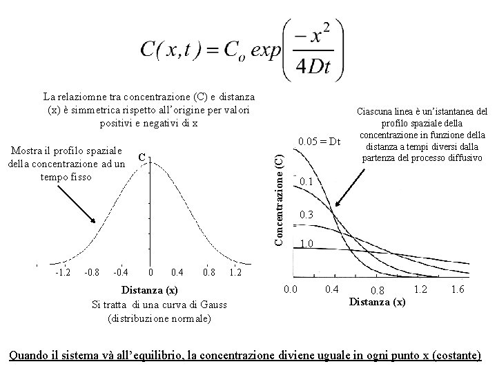 La relaziomne tra concentrazione (C) e distanza (x) è simmetrica rispetto all’origine per valori