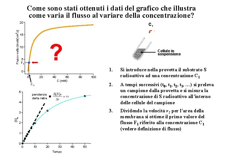 Come sono stati ottenuti i dati del grafico che illustra come varia il flusso