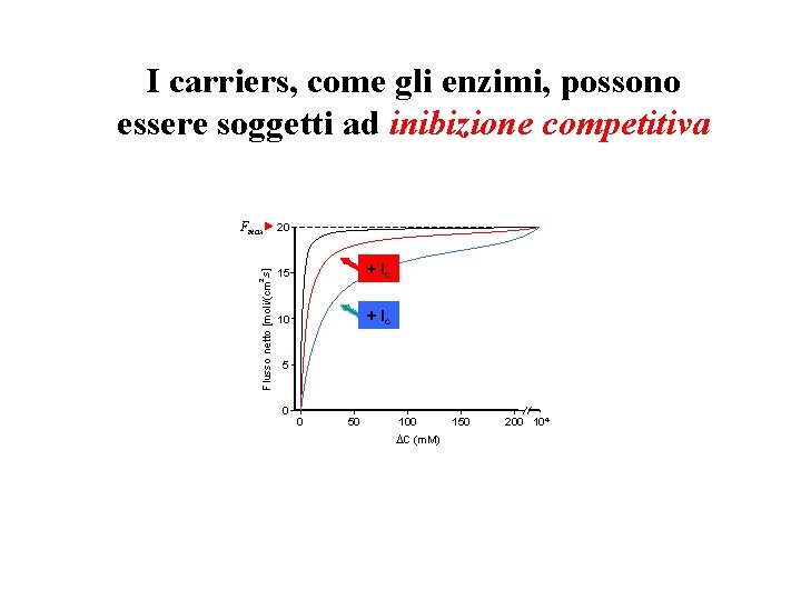 I carriers, come gli enzimi, possono essere soggetti ad inibizione competitiva 2 Flusso netto