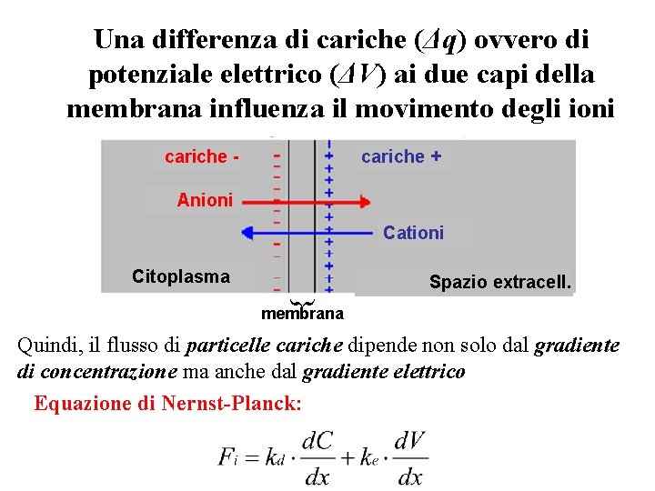 Una differenza di cariche (Δq) ovvero di potenziale elettrico (ΔV) ai due capi della